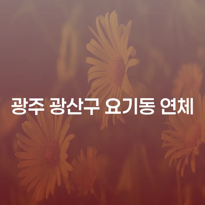 광주 광산구 요기동 연체 기록 조회: 어떻게 해결할 수 있을까요?