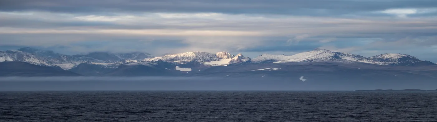 법무법인 서앤율