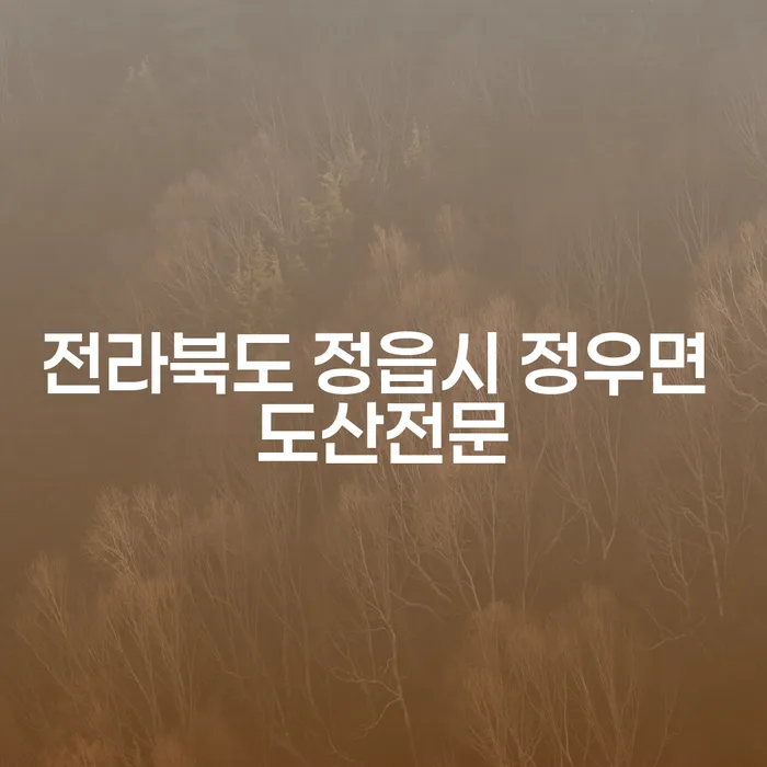 전라북도 정읍시 정우면 도산전문, 전부명령으로 개인회생과 파산 해결 가능할까요?