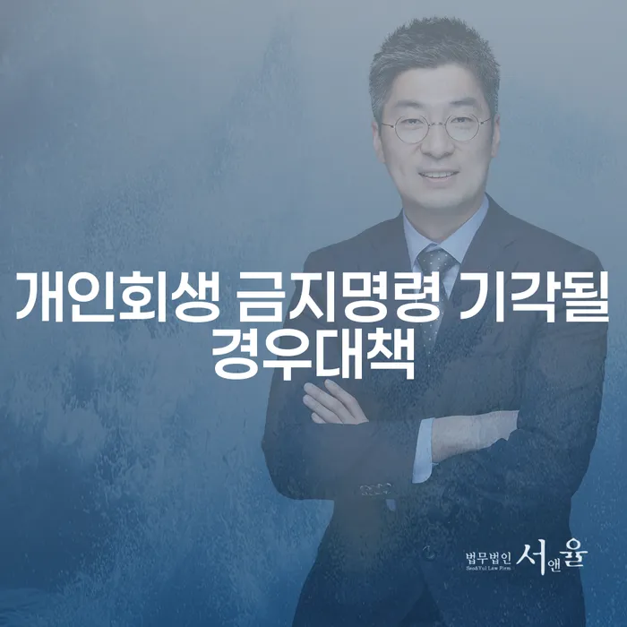 개인회생 금지명령이 기각된다면? 대책은 무엇일까요?