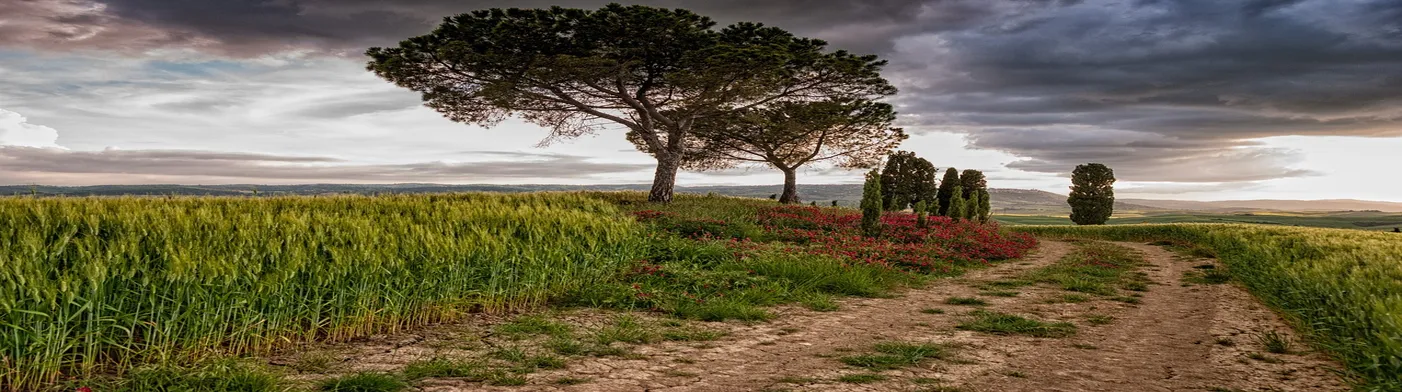 법무법인 서앤율