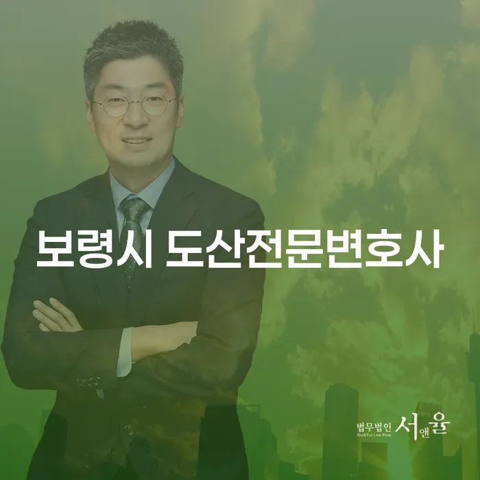 보령시 도산전문변호사는 어떤 도움을 줄 수 있을까요?